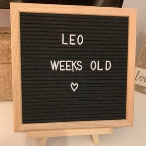 Felt letter board & letters